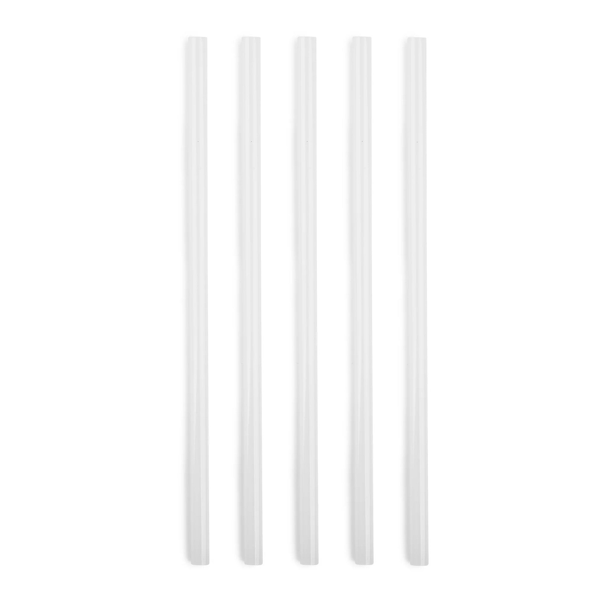 5-piece-replacement-straw-set-for-titan-3l-135-oz-k1 SPY2010_02.jpg